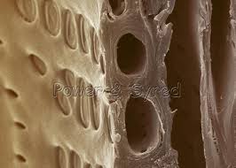 images (6)